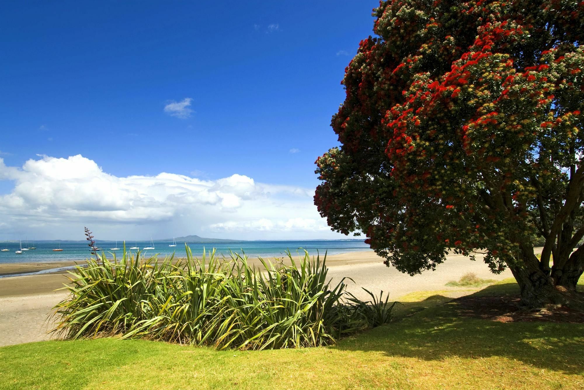 Ramada Suites By Wyndham Auckland - Federal Street Dış mekan fotoğraf